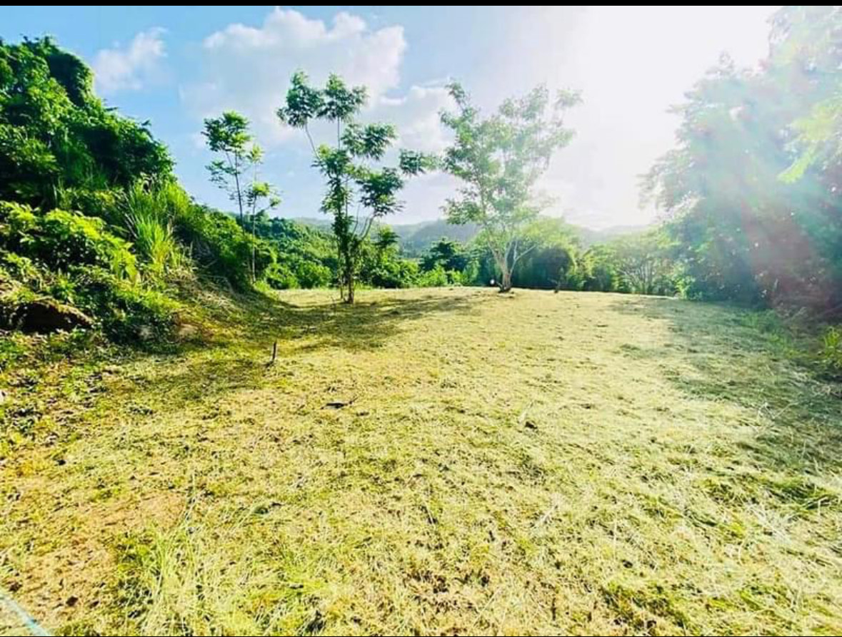 1 acre in Hacienda Rivero Trujillo Alto. Controlled access. Private road.