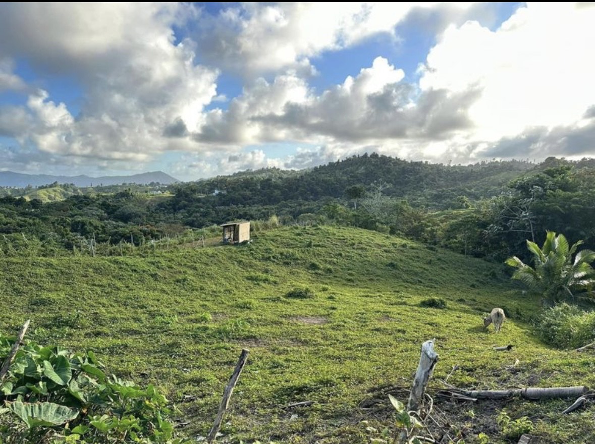 YABUCOA 3.3 acres